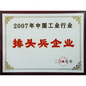 中國工業行業排頭兵企業