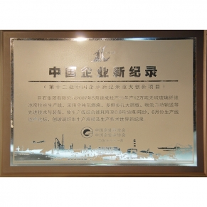 中國企業新紀錄第十二批重大創新項目