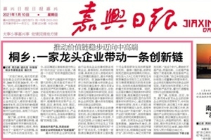 嘉興日報頭版頭條點贊！桐鄉：一家龍頭企業帶動一條創新鏈