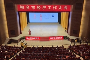 【菊鄉快評】經濟工作大會上，桐鄉市委書記為何重點講巨石的電子布？