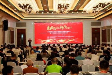 第40屆全國玻璃纖維專業情報網年會在桐召開