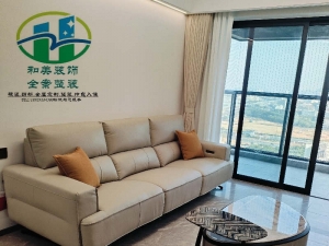 虎门印象雅居装修完工Ҏ(gu)